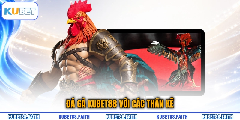 Đá gà KUBET88 với các thần kê