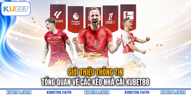 Giới thiệu thông tin tổng quan về các kèo nhà cái KUBET88